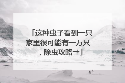 这种虫子看到一只家里很可能有一万只，除虫攻略→