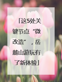 这5处关键节点“微改造”，岳麓山游玩有了新体验