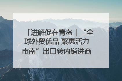 进解促在青岛｜“全球外贸优品 聚惠活力市南”出口转内销进商超专场活动启动