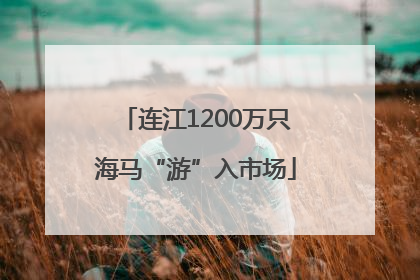 连江1200万只海马“游”入市场