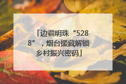 边疆明珠“5288”，烟台援藏解锁乡村振兴密码