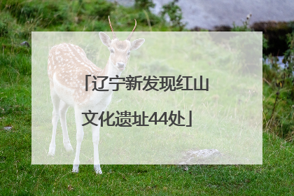 辽宁新发现红山文化遗址44处