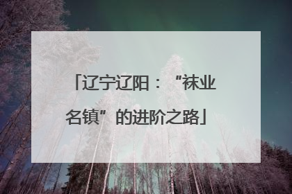 辽宁辽阳：“袜业名镇”的进阶之路