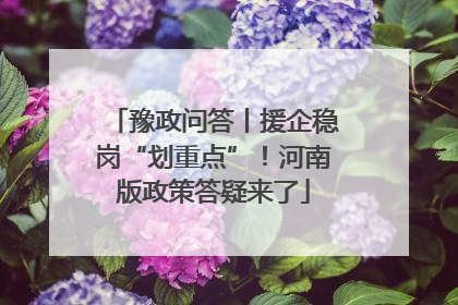 豫政问答丨援企稳岗“划重点”！河南版政策答疑来了