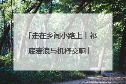 走在乡间小路上丨祁底麦浪与机杼交响