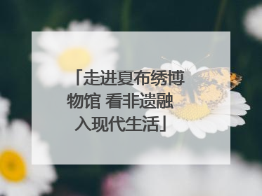 走进夏布绣博物馆 看非遗融入现代生活