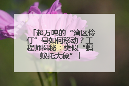 超万吨的“湾区伶仃”号如何移动？工程师揭秘：类似“蚂蚁托大象”