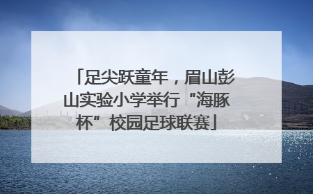 足尖跃童年，眉山彭山实验小学举行“海豚杯”校园足球联赛