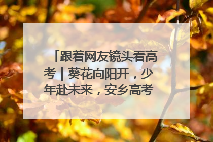 跟着网友镜头看高考｜葵花向阳开，少年赴未来，安乡高考首日的希望图景