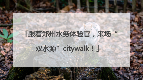跟着郑州水务体验官，来场“双水源”citywalk！