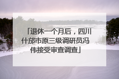 退休一个月后，四川什邡市原三级调研员冯伟接受审查调查