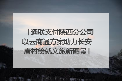 通联支付陕西分公司以云商通方案助力长安唐村绘就文旅新图景