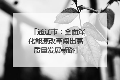 通辽市：全面深化能源改革闯出高质量发展新路