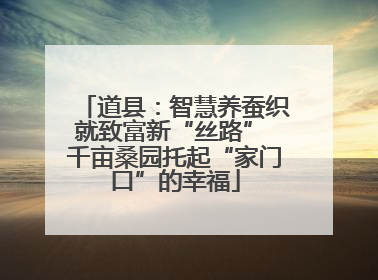 道县：智慧养蚕织就致富新“丝路” 千亩桑园托起“家门口”的幸福