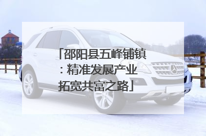 邵阳县五峰铺镇：精准发展产业 拓宽共富之路
