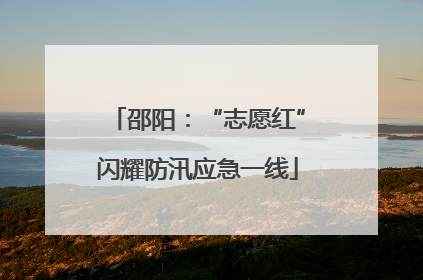 邵阳：“志愿红”闪耀防汛应急一线