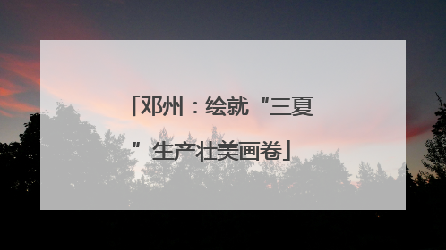 邓州：绘就“三夏”生产壮美画卷