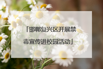 邯郸复兴区开展禁毒宣传进校园活动