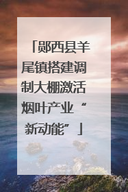 郧西县羊尾镇搭建调制大棚激活烟叶产业“新动能”