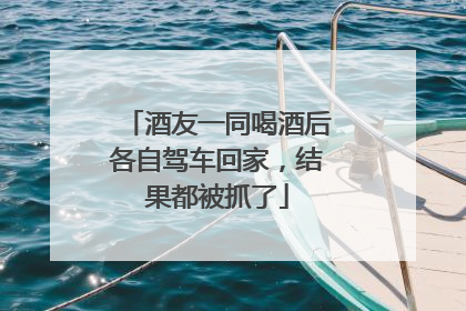 酒友一同喝酒后各自驾车回家，结果都被抓了