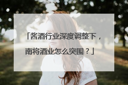 酱酒行业深度调整下，南将酒业怎么突围？