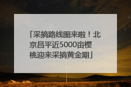 采摘路线图来啦！北京昌平近5000亩樱桃迎来采摘黄金期