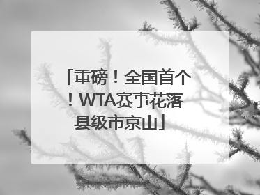 重磅！全国首个！WTA赛事花落县级市京山