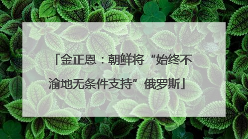 金正恩：朝鲜将“始终不渝地无条件支持”俄罗斯