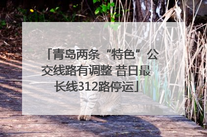 青岛两条“特色”公交线路有调整 昔日最长线312路停运