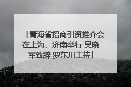 青海省招商引资推介会在上海、济南举行 吴晓军致辞 罗东川主持