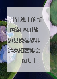 针线上的新国潮 四川盐边县傈僳族非遗亮相西博会｜图集