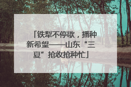 铁犁不停歇，播种新希望——山东“三夏”抢收抢种忙