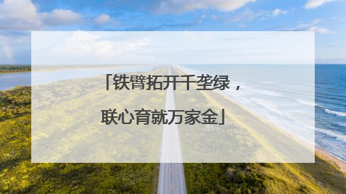 铁臂拓开千垄绿，联心育就万家金