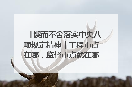 锲而不舍落实中央八项规定精神｜工程重点在哪，监督重点就在哪——广西深化政治监督护航平陆运河建设