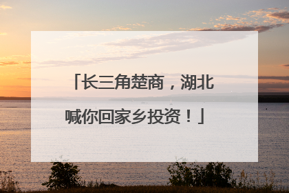 长三角楚商，湖北喊你回家乡投资！