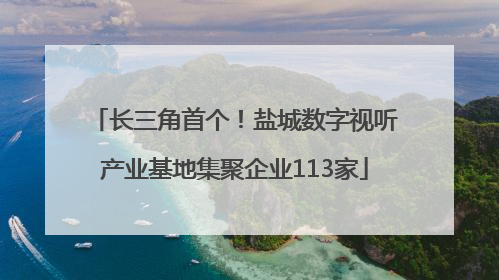 长三角首个！盐城数字视听产业基地集聚企业113家