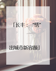 长丰：“绣”出城市新容颜