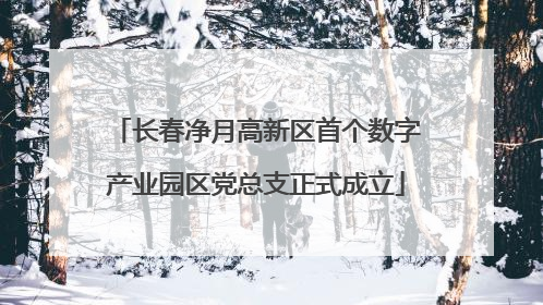 长春净月高新区首个数字产业园区党总支正式成立