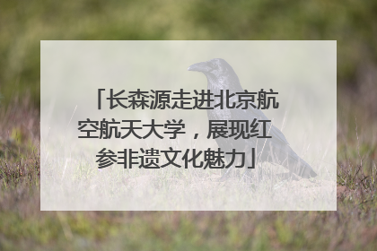 长森源走进北京航空航天大学，展现红参非遗文化魅力
