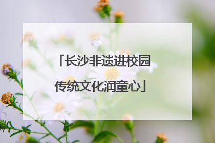 长沙非遗进校园 传统文化润童心