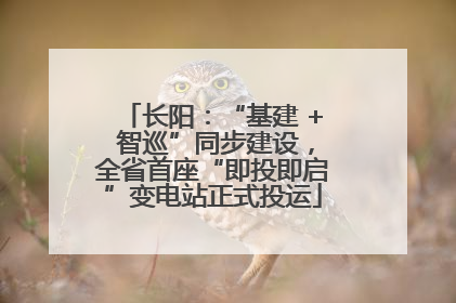 长阳：“基建 + 智巡”同步建设，全省首座“即投即启”变电站正式投运