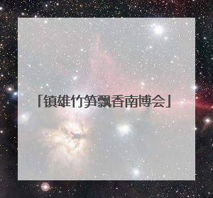 镇雄竹笋飘香南博会
