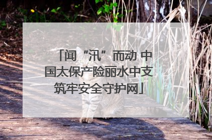 闻“汛”而动 中国太保产险丽水中支筑牢安全守护网