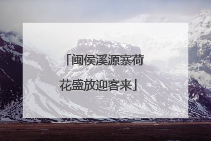 闽侯溪源寨荷花盛放迎客来