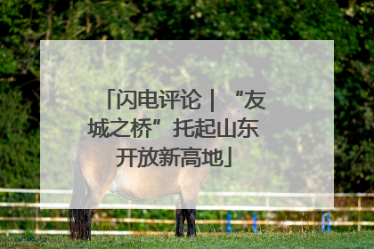 闪电评论｜“友城之桥”托起山东开放新高地