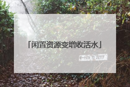 闲置资源变增收活水