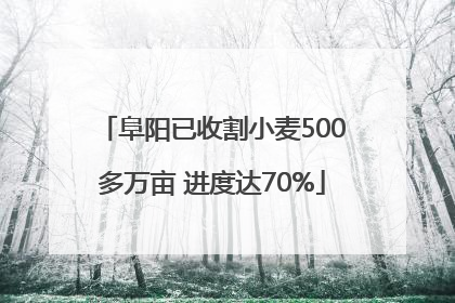 阜阳已收割小麦500多万亩 进度达70%
