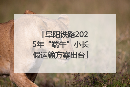 阜阳铁路2025年“端午”小长假运输方案出台