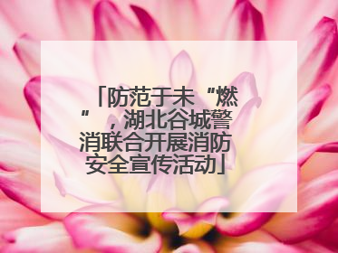 防范于未“燃”，湖北谷城警消联合开展消防安全宣传活动