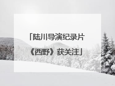 陆川导演纪录片《西野》获关注